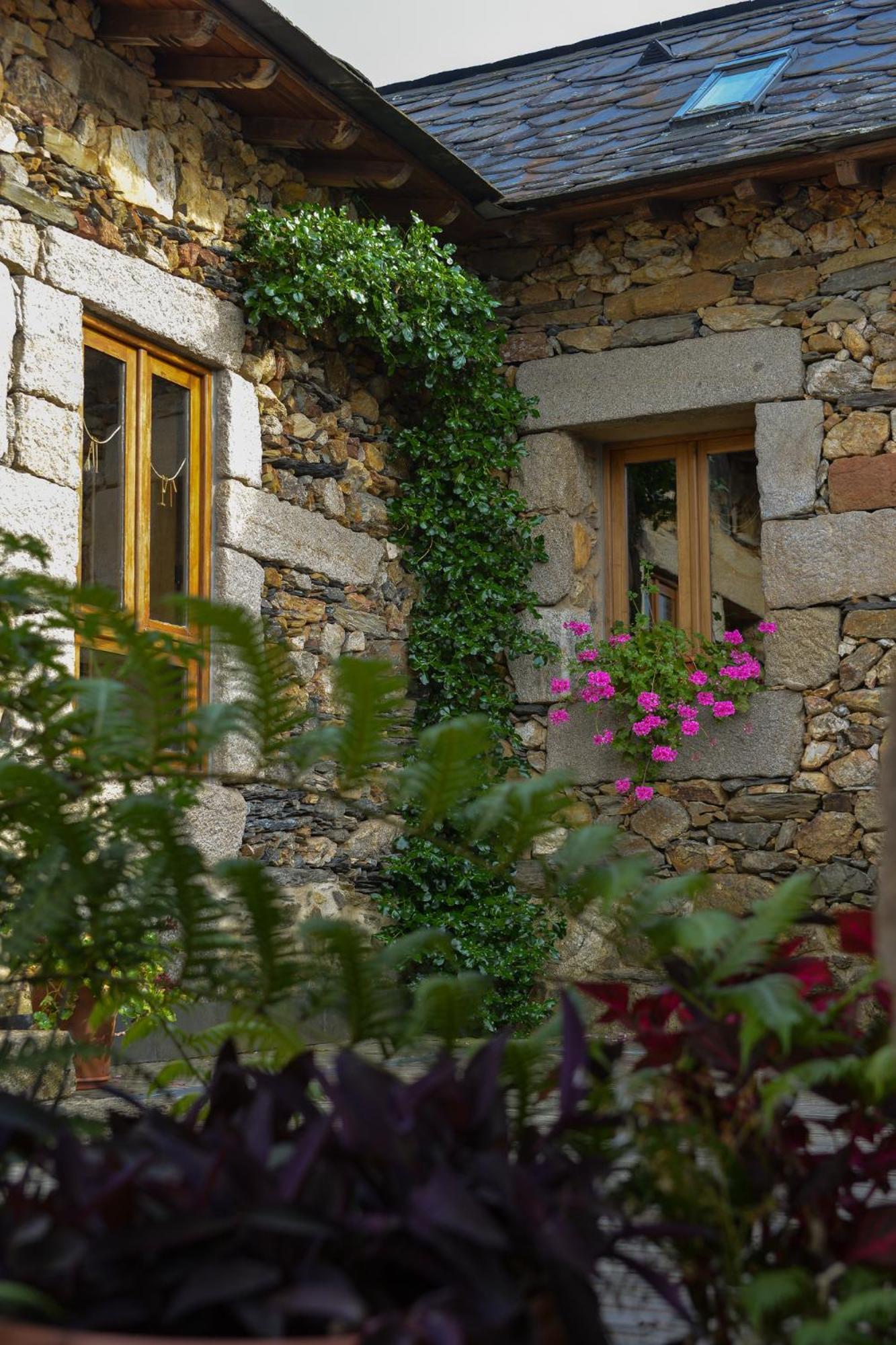 Casa Do Pinto Pensionat Arouca Exteriör bild