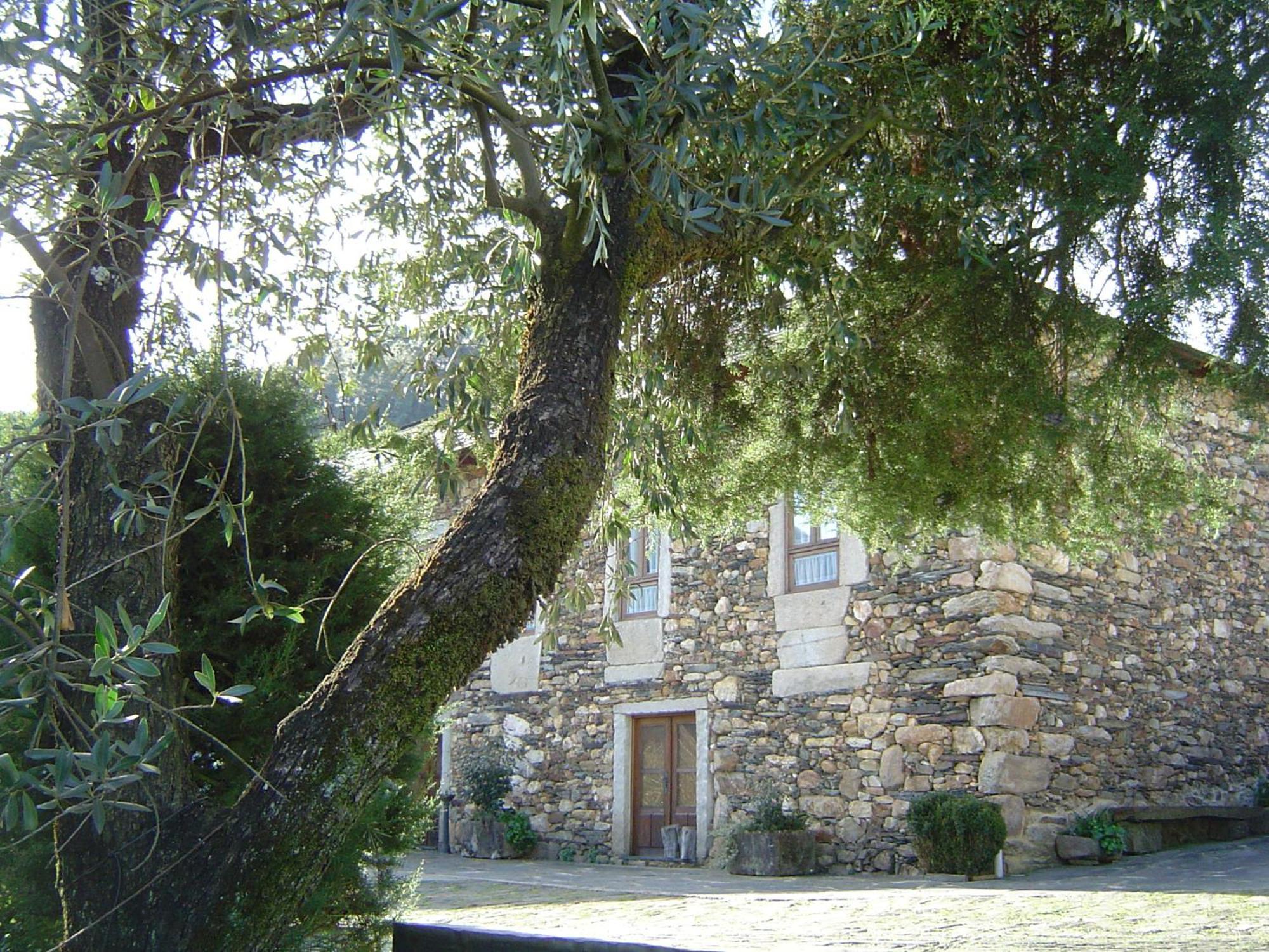 Casa Do Pinto Pensionat Arouca Exteriör bild